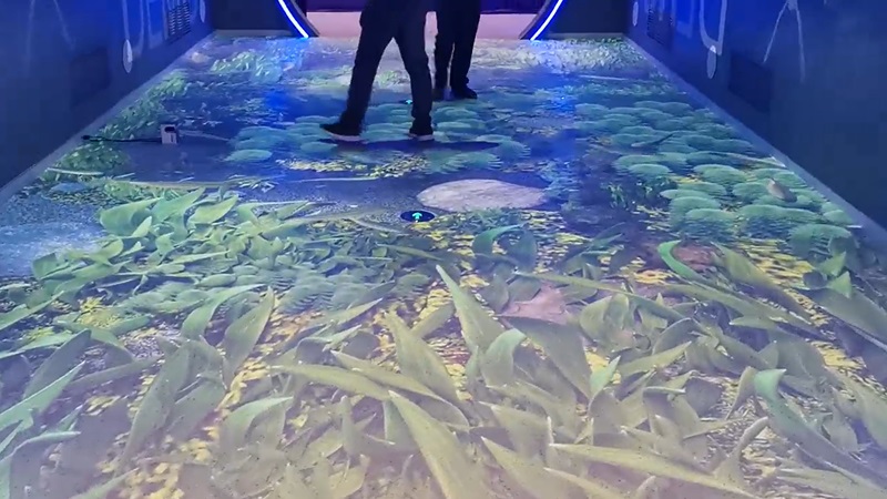 魚(yú)水地面投影互動(dòng)-蘇州好奇數(shù)字科技.jpg