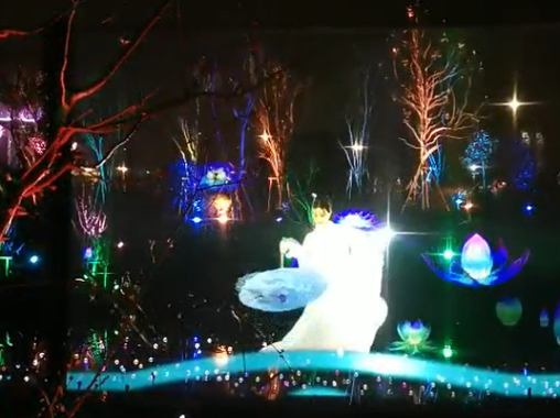 夜游園戶(hù)多媒體外紗幕投影