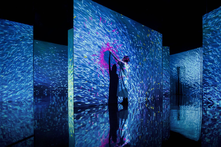 沉浸式互動投影多少錢-蘇州好奇數字科技有限公司