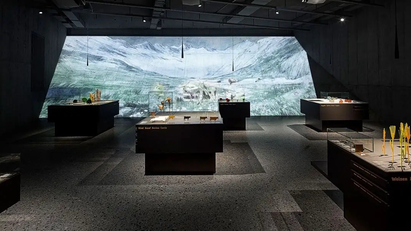 博物館多媒體展示：融合傳統與創新的視覺盛宴-蘇州好奇數字科技有限公司